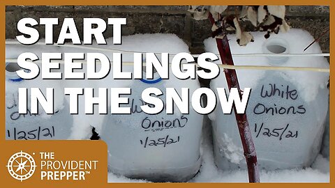 Winter Sown: How to Start Seedlings Outside in the Snow