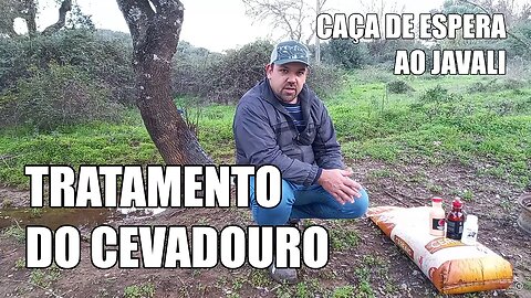 Tratamento de um Cevadouro | Caça de Espera ao Javali