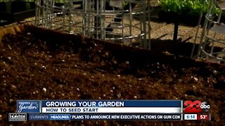 GROWING YOUR GARDEN: Getting your seedlings started