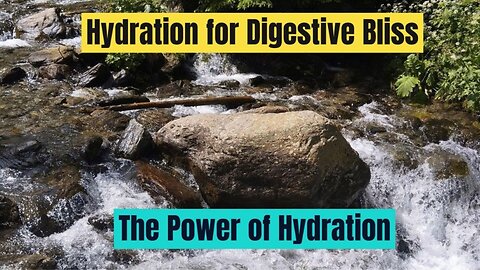 Hydration water for Digestive System Bliss: Nourishing Your Gut for Optimal Health