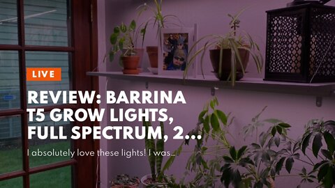 Review: Barrina T5 Grow Lights, Full Spectrum, 2ft 80W (8 x 10W, 500W Equivalent), LED Grow Lig...