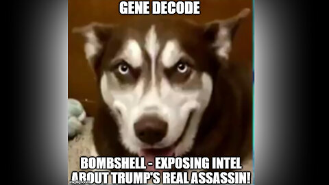 Gene Decode BOMBSHELL - Exposing Intel About Trump's REAL Assassin!