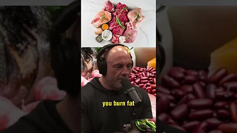 The Truth About Carbs and Burning Fat: Debunking Myths with Andrew Huberman and Joe Rogan