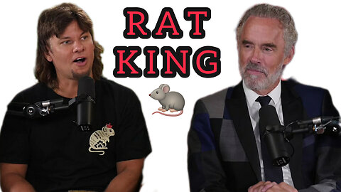 Jordan Peterson & Theo Von | The Rat King 👑 🐀