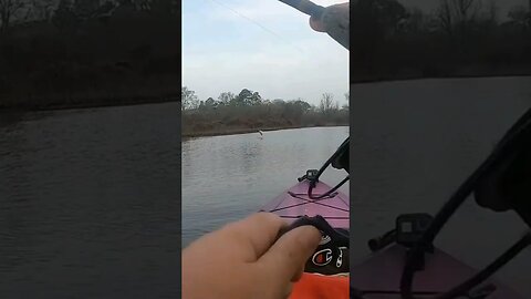 Spring time bass fishing on Toledo bend. #legendaryfishing #bassfishing #toledobend