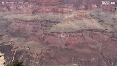 Elle a failli tombé du Grand Canyon pour une photo