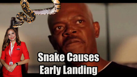 Malaysian Snake🐍 On The Plane✈ causes early landing