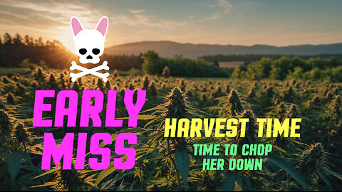 Labour Day Harvest - Early Miss - Episode SEVEN - Spider Farmer SF2000 Complete Grow Tent Kit