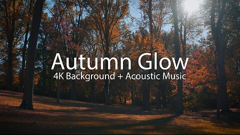 Autumn Glow - Beautiful Autumn Foliage 4K Backgrounds and Calm Music. Perfect for Relaxation!