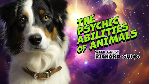 Animals with Paranormal Abilities & Who is Bobbie The Wonder Dog?