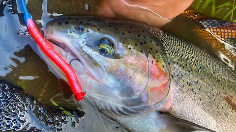 After Work Challenge SUCCESS & Riverside Campfire LUNCH!! Steelhead FISHING With FRIENDS.