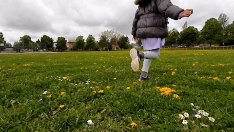 A good run on a beautiful green grass field