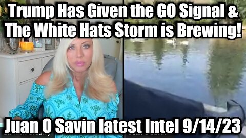 Juan O' Savin: Trump Has Given the GO Signal & The White Hats Storm is Brewing!