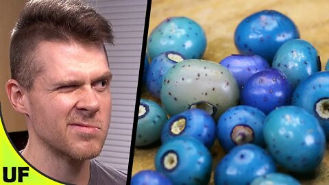 Rare TEAL Fruit! Porcelain Berry Taste Test | Unusual Foods