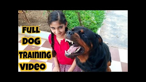 dog showing all training skills |well trained dog ||dog protection skill