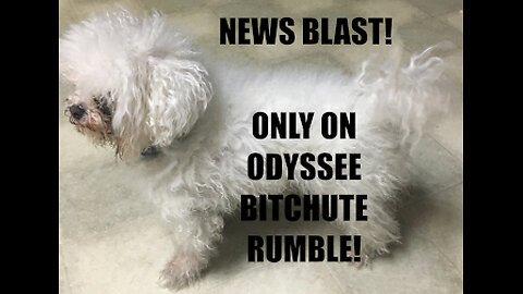 Rumble/Odysee/Bitchute Exclusive Hot Take News Blast! June 10th 2024