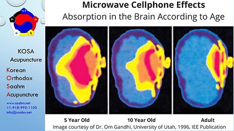 Health Risks Associated with Wireless Devices, Rev. 2