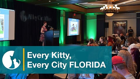 Every Kitty, Every City Florida