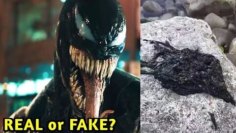 VENOM IN REAL LIFE: REAL or FAKE?!!