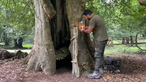 Tree hole shelter/2