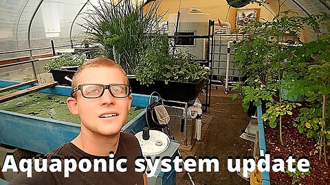 DIY Aquaponic System (update)