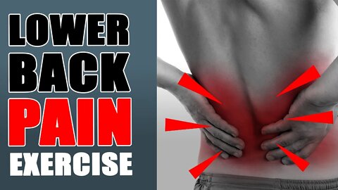 3 Minute Lower Back Pain Exercise (Instant Relief)