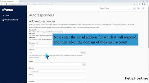 How to create or delete an E mail Autoresponder with FelizHosting