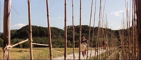 Fight, Zatoichi, Fight (1964)