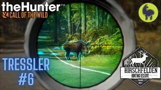 Tressler #6 Hirschfelden | theHunter: Call of the Wild (PS5 4K)