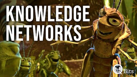 #461 // KNOWLEDGE NETWORKS (Live)