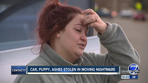 Car, puppy and ashes stolen from family moving across the country who made stop in Arvada