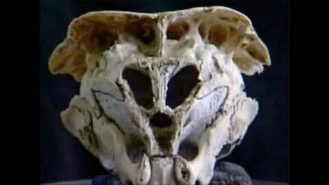 Is This An Alien Skull? Paranormal News