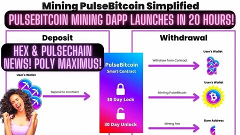 PulseBitcoin Mining Dapp Launches In 20 Hours! Hex & Pulsechain News! POLY Maximus!