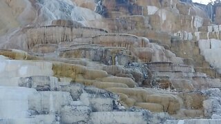 Yellowstone National Park's Mammoth Hot Springs