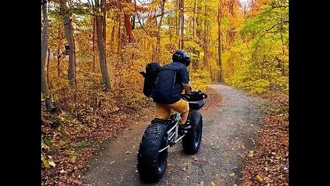 Parking Lot is Full at the Days River Trail! ( Fatback Rhino )