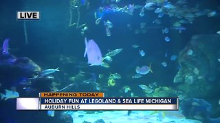 SEA LIFE MICHIGAN