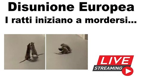 Disunione Europea: i ratti iniziano a mordersi...