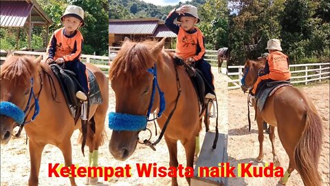 Naik kuda delman di tempat wisata - naik kuda delman istimewa - naik kuda lagi anak - horse videos