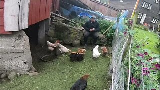 Chicken pizza party