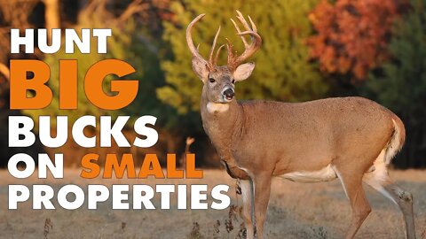 Keys to Hunting Big Bucks on Small Properties