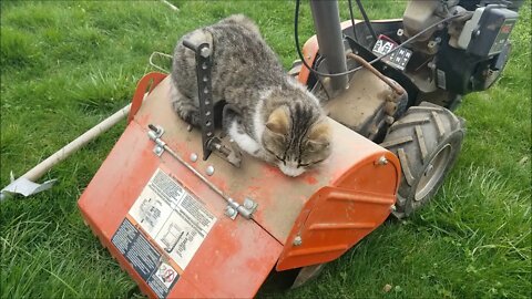 Planting Onions with Rocket! 4-5-21