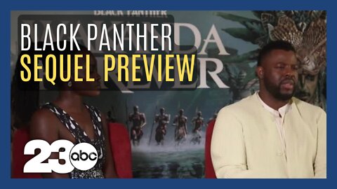 Black Panther sequel "Wakanda Forever" to hit theaters