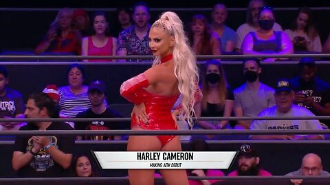 Harley Cameron vs Viva Van