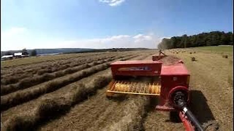 NEW HOLLAND BC5070 baler time-lapse in SUPER LONG HAY FIELD