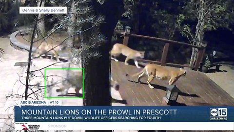 AZ Game and Fish Department issues warnings after Mountain Lion attacks