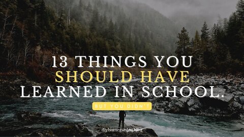 13 Survival Skills You Should Have Learned in School (But You Didn't)