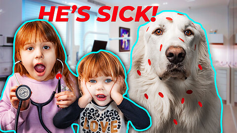 Our GIANT Great Pyrenees Has Chicken Pox!