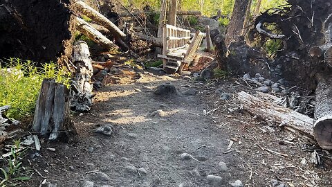 Crossing Rustic Log Bridge Over Ramona Creek @ Ramona Falls! | 4K | Timberline | Mount Hood | Oregon