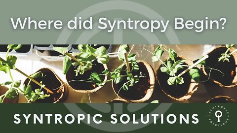 WHERE DID SYNTROPY COME FROM?