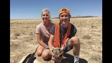 2 Youth, 2 Doe Antelope Tags